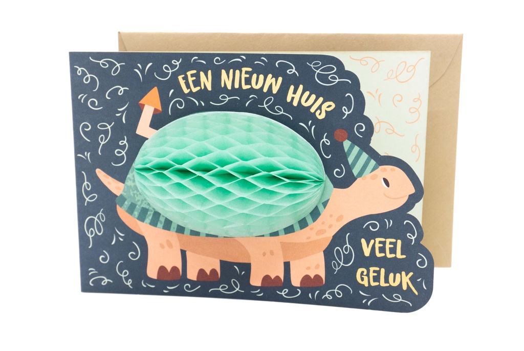 EEN NIEUW HUIS, VEEL GELUK