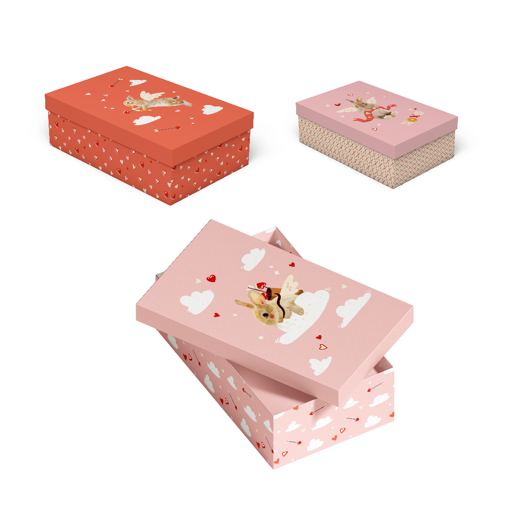 GIFT BOXES LA LA LOVE