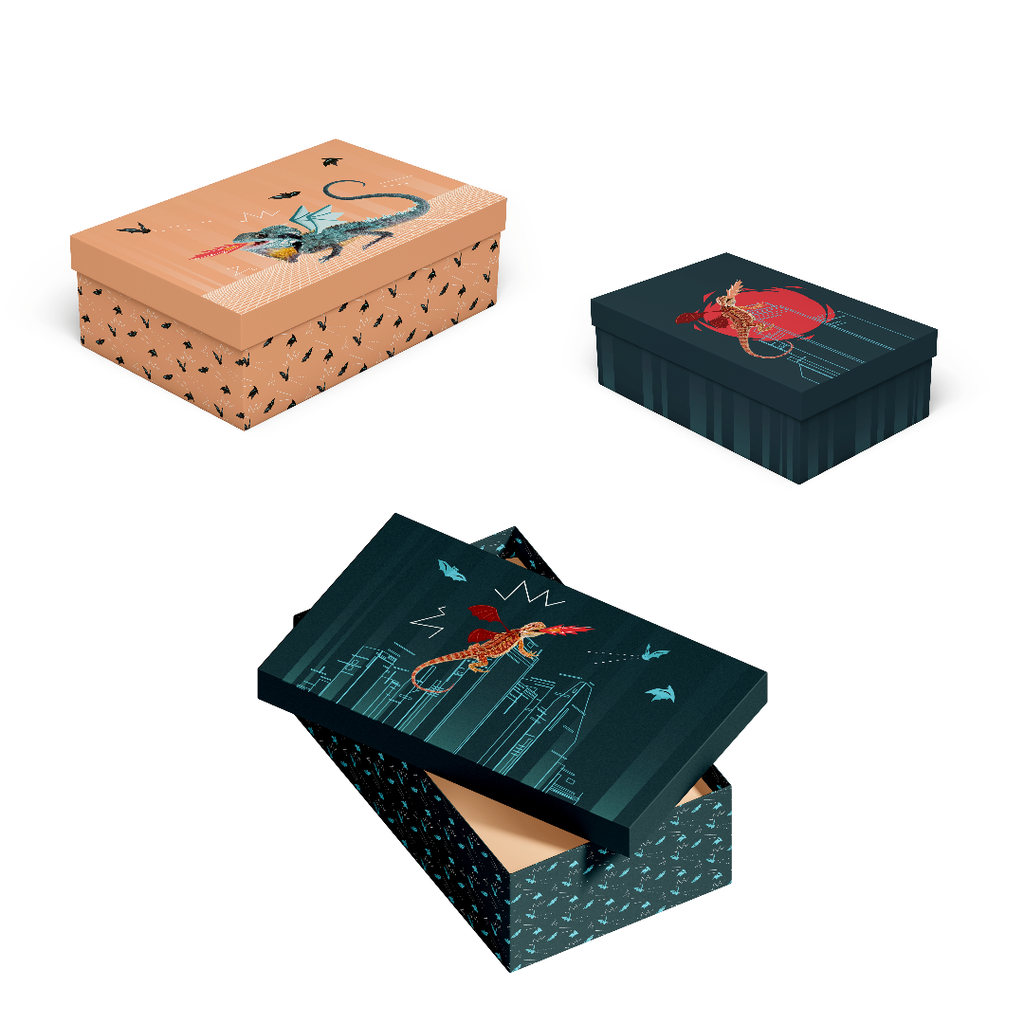 GIFT BOXES  DRAGON WARRIOR