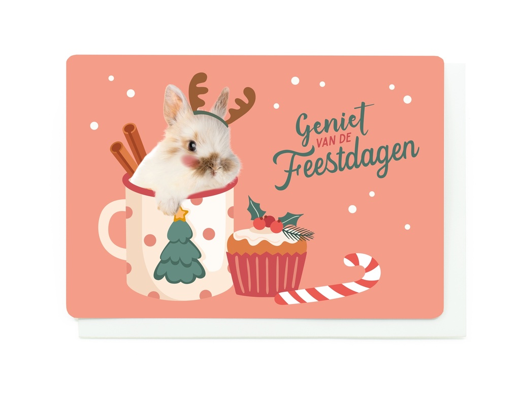 GENIET VAN DE FEESTDAGEN