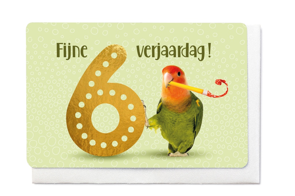 FIJNE VERJAARDAG! - 6 JAAR