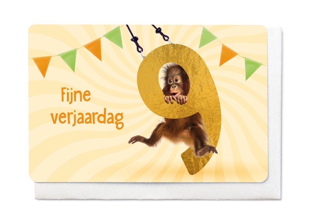 FIJNE VERJAARDAG - 9 JAAR