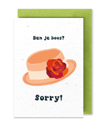 BEN JE BOOS? SORRY