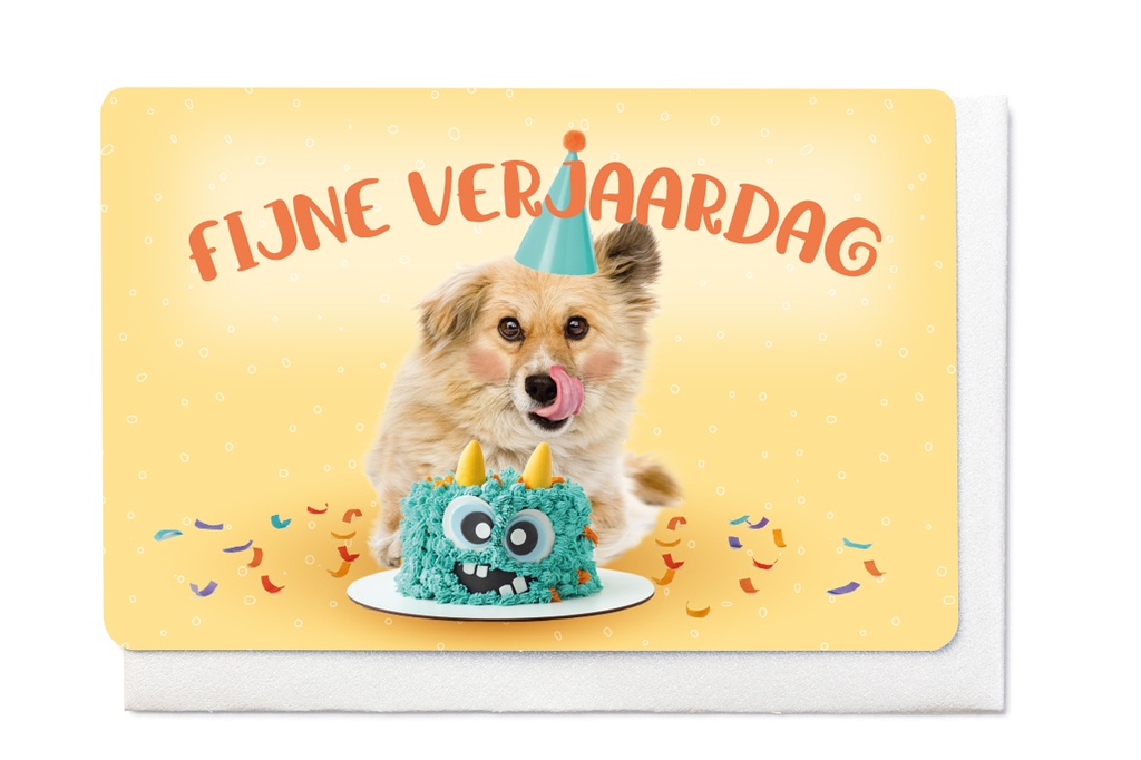FIJNE VERJAARDAG 