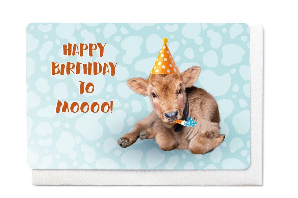 HAPPY BIRTHDAY TO MOOOO!