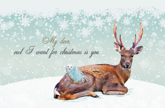 MY DEER, OWL I WANT FOR CHRISTMAS IS YOU