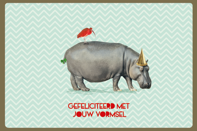 GEFELICITEERD MET JOUW VORMSEL