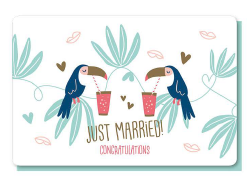JUST MARRIED - CONGRATULATIONS!