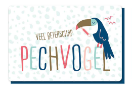 VEEL BETERSCHAP PECHVOGEL