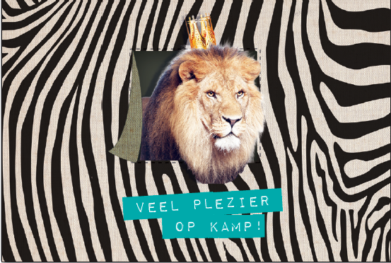 VEEL PLEZIER OP KAMP