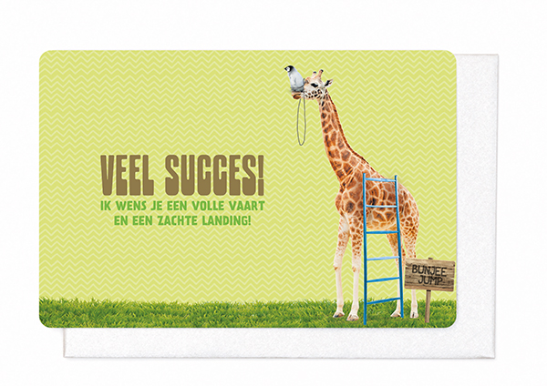 VEEL SUCCES