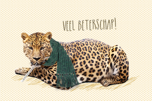 [V1923] VEEL BETERSCHAP