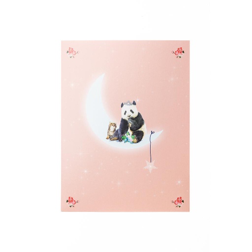 [BR032] SET DE CORRESPONDENCE 'PANDA'