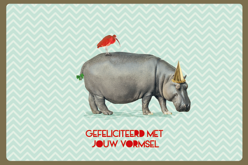 [C2138] GEFELICITEERD MET JOUW VORMSEL