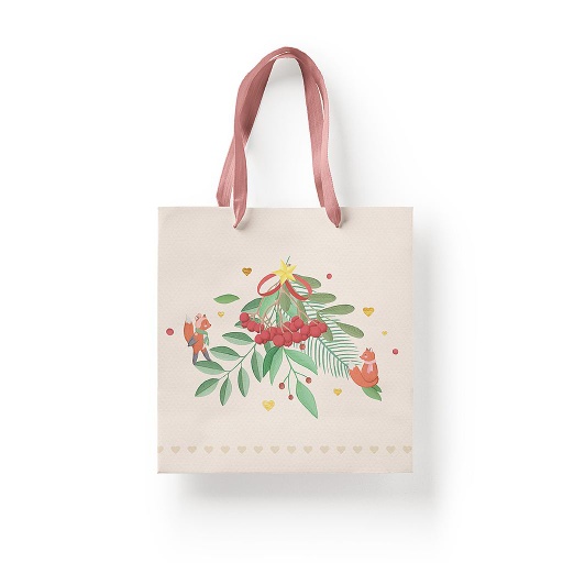 [GB05 25 X 25] GIFT BAG 05WW 25 X 25 CM 