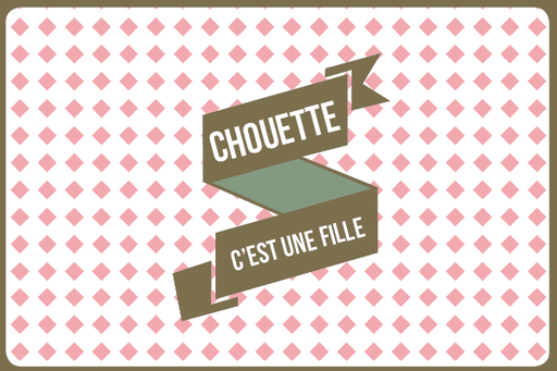 [FNV927] CHOUETTE, C'EST UNE FILLE