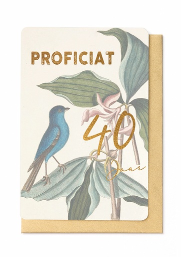 [SC4334] PROFICIAT 40 JAAR