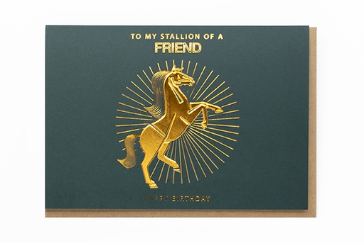 [O4117] TO MY STALLION OF A FRIEND