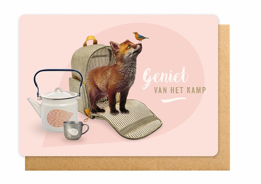 [K2305] GENIET VAN HET KAMP