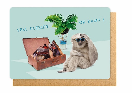 [K2317] VEEL PLEZIER OP KAMP