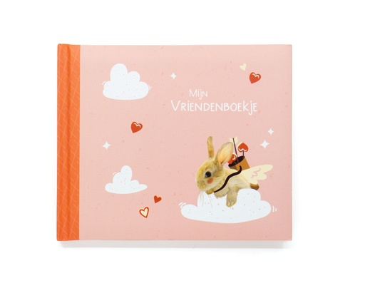 [VB0263] VRIENDENBOEKJE LA LA LOVE