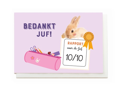 [ESJ3658] BEDANKT JUF!