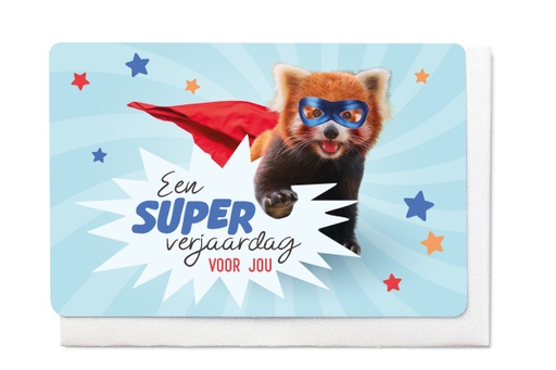 [V1779] EEN SUPER VERJAARDAG VOOR JOU